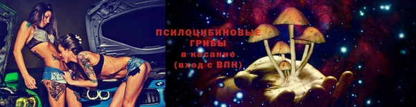 прущие крисы Алексеевка