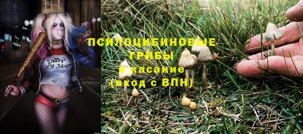 прущие крисы Алексеевка